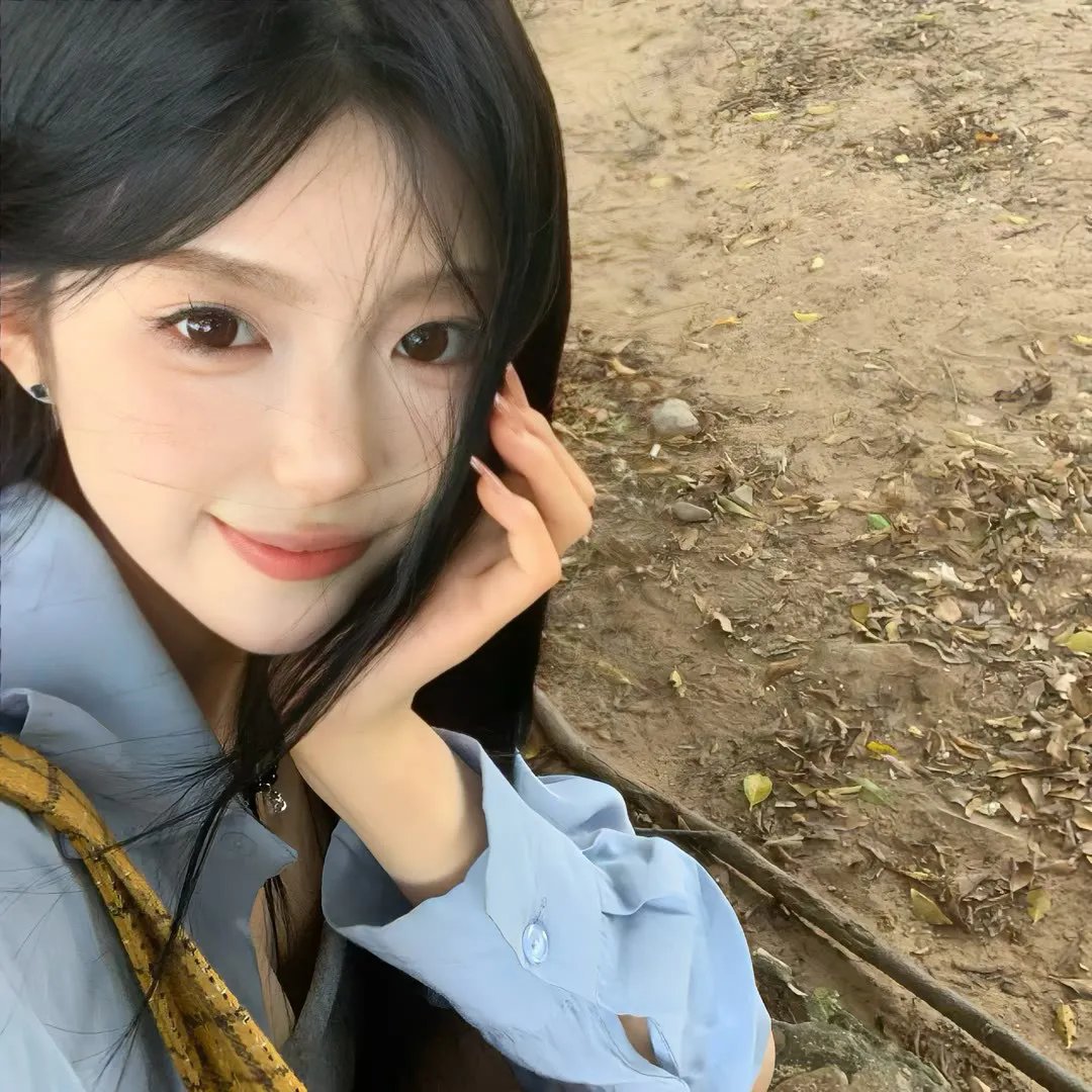 科搜研之女第24季